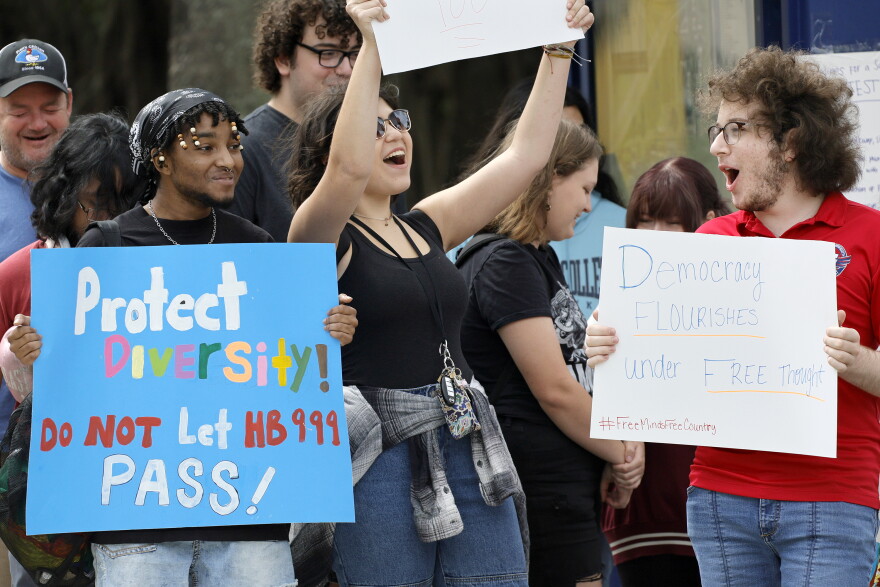Programs Protest Will Gov. DeSantis win his battle to dismantle DEI programs at state ...