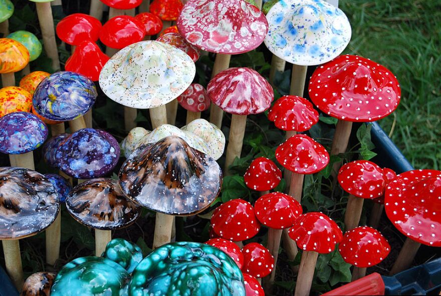 Some experts say psychedelics, like "magic mushrooms," are going through a renaissance.