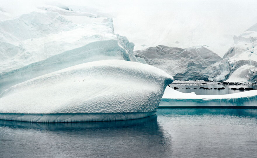 Iceberg and Glacier, Antarctic Peninsula, December 2007