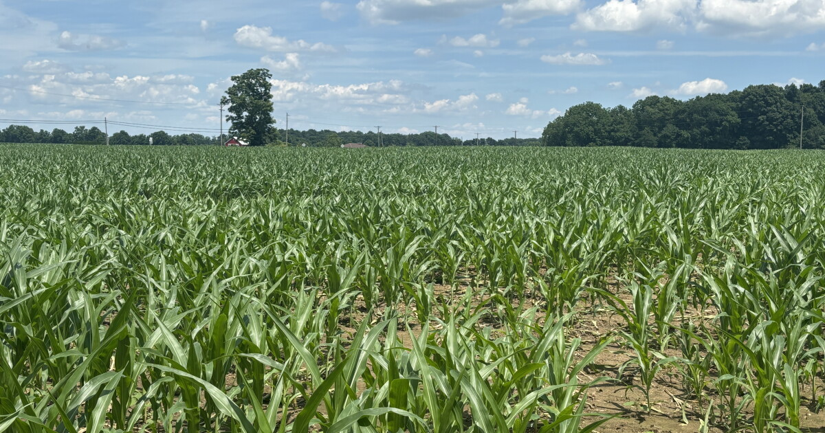 Curated visual reference: Farm Origin Preserved Solo Operation Job Search Reference: Why A 36 Acre Farm Near Yellow Springs Is Now