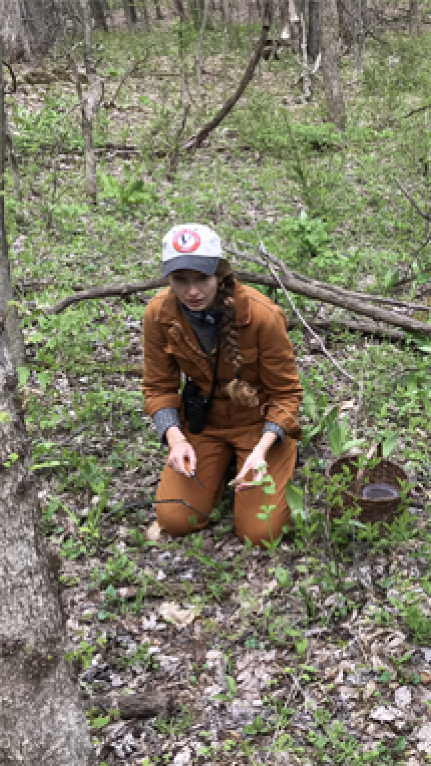 Lucy harvests a mushroom