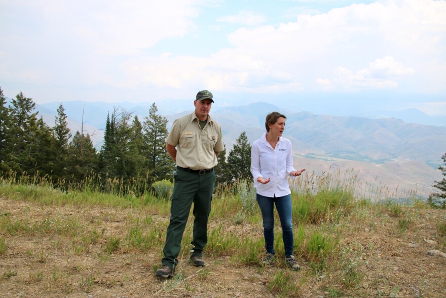 Zach Poff of the U.S. Forest Service and Dani Southard of the National Forest Foundation speak about the restoration project on Bald Mountain.