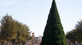 A Christmas tree by the Tech Seal on the Texas Tech University campus, Dec. 20, 2025.