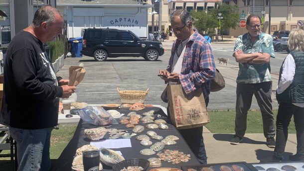Monterey's first-ever abalone festival drew crowds of visitors, including abalone shell enthusiasts from around the US. There are conservation efforts to preserve the endangered sea snail.
