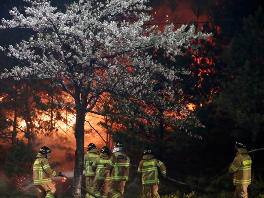 Firefighters work to put out flames from a wildfire in Sokcho, South Korea.