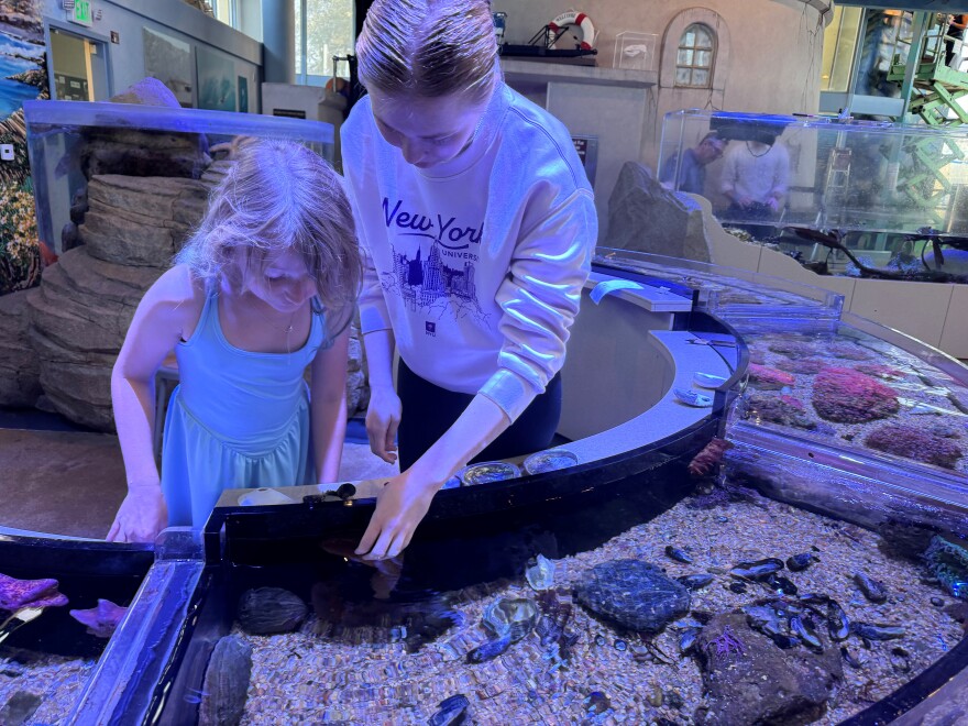 The high school students give tours to elementary students and once a month, to the general public