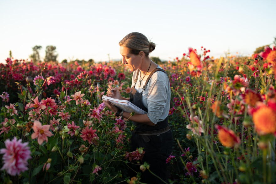 All photos by Chris Benzakein, courtesy of Floret Flower Farm, all rights reserved.