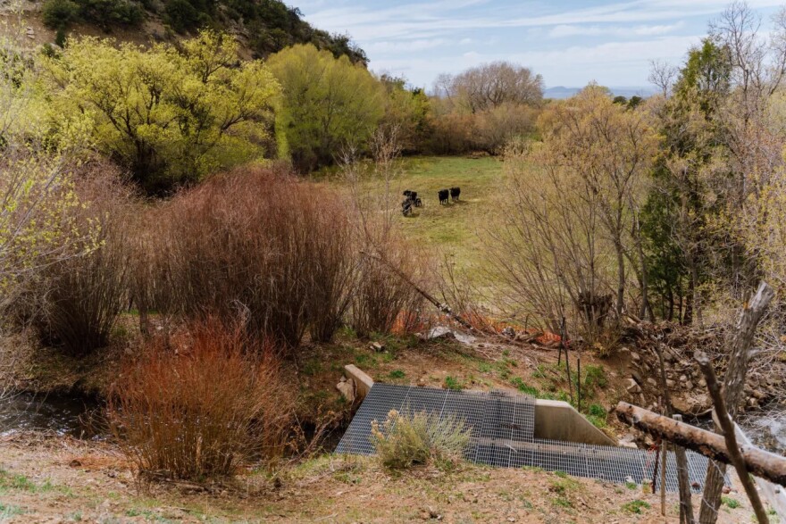While acequia systems are concentrated heavily in northern New Mexico, they exist on every river system in the state, and extend up north to southern Colorado, especially in the San Luis Valley, an area more culturally similar to northern New Mexico than most of the rest of Colorado.