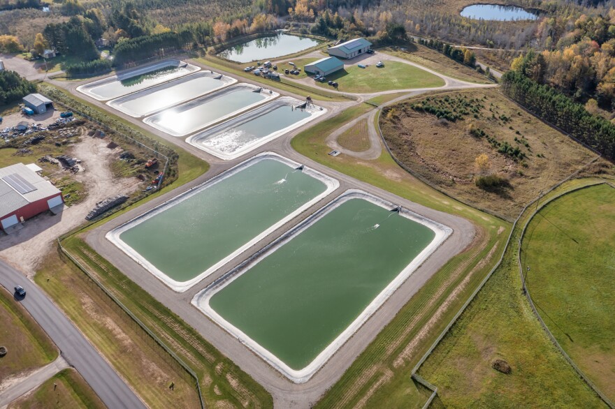 An aerial view of the tribal fish hatchery at Mole Lake. Together, the ponds produce 65,000 walleye fingerlings.