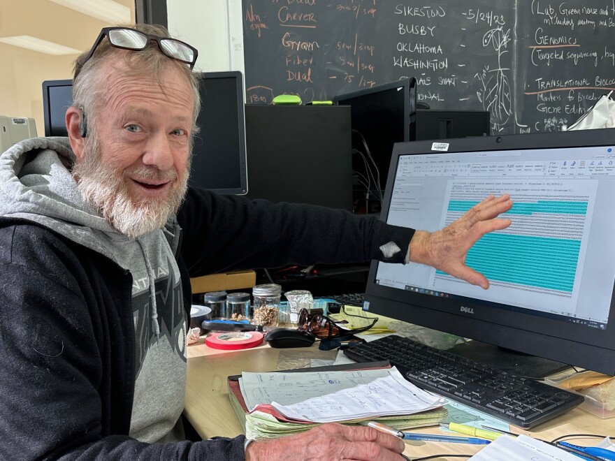Christian Carson analyzes the genome sequences of hemp varieties at the Lincoln University Hemp Institute in Jefferson City, Mo., Oct. 14, 2024.