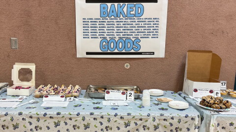 24 homemade blueberry dishes were submitted to Unalaska's 2026 Blueberry Bash.