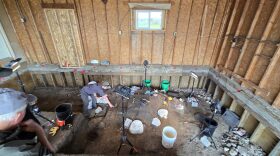 Team members excavate mammoth bones beneath a Burke County garage in June 2026 under the supervision of the North Dakota Geological Survey.
