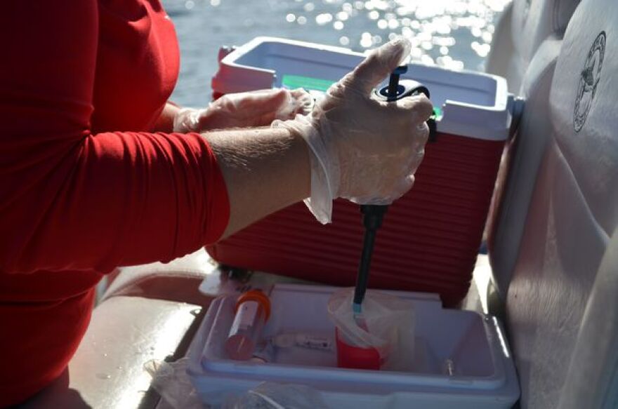 Sarah Klass, a lead researcher at Mote Marine Laboratory & Aquarium's Red Tide Institute, collects water samples during a research cruise on July 21.