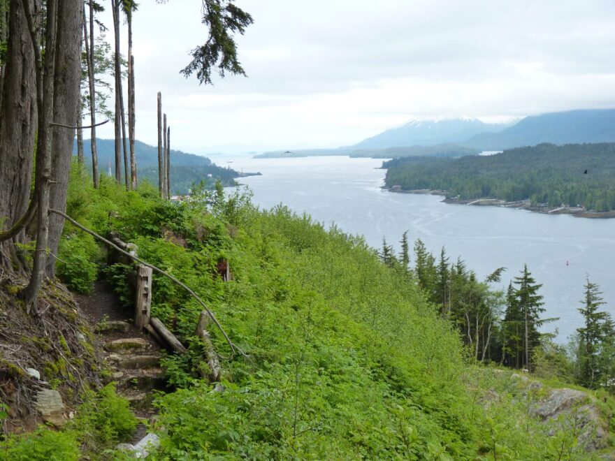 A trail through grass that overlooks the water.