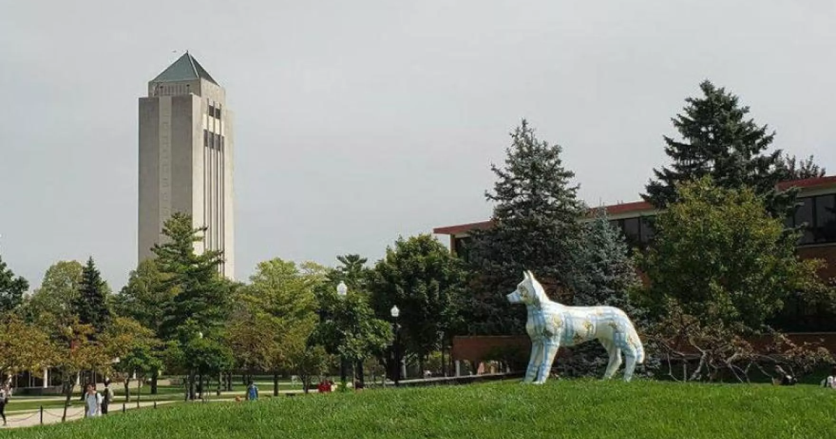 A closer look at NIU's fall 2026 enrollment numbers