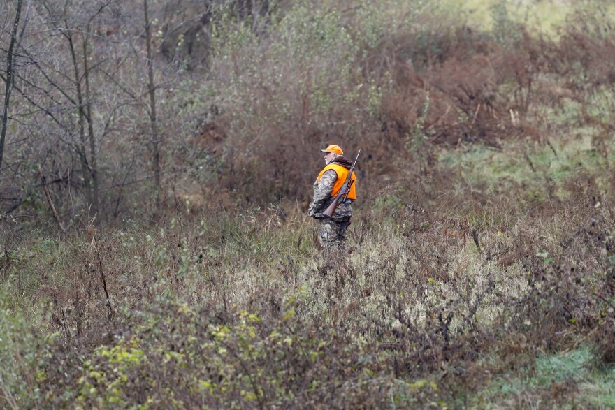 FILE - A hunter walks through the woods on the first day of regular firearms deer hunting season in most of Pennsylvania, Monday, Nov. 26, 2018, in Zelienople, Pa.