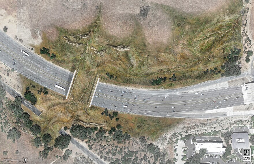 Another artistic rendering of the world’s largest animal crossing. This time from above. Construction work begins in April and the crossing will be open for business by late 2024, early 2025.