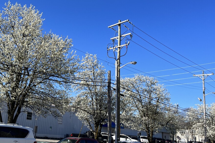 A city streetlight outside of WonderLab. Duke Energy leases 3,300 LED streetlights to the city.