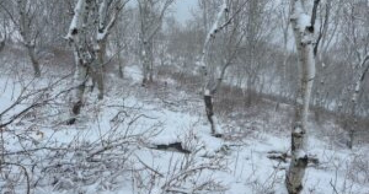 Utah Olympic Park Uphill Pass Unlocking Winter Adventure Utah Olympic Park Uphill Pass Unlocking Winter Adventure