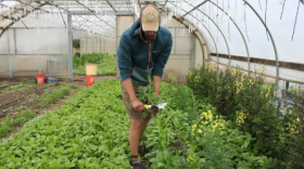 Matthew Went, the co-owner of River Ridge Farm and Market, said it’s “extra challenging” for beginning farmers who have not inherited any land.