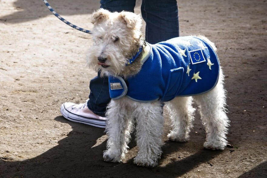 Photo taken at the Wooferendum rally at Parliament Square, London on Sunday 7th October 2018.