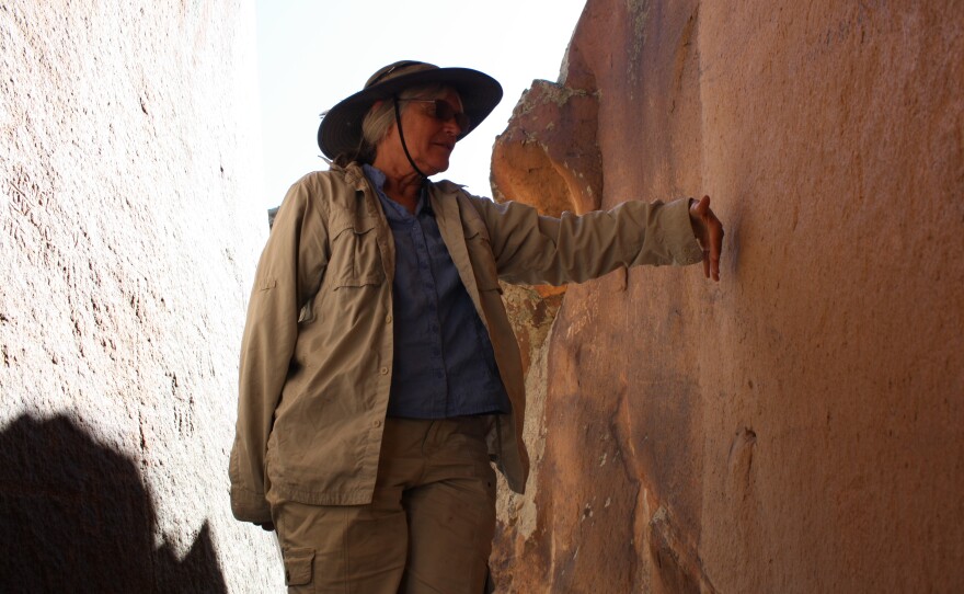 Archaeologist Carol Patterson