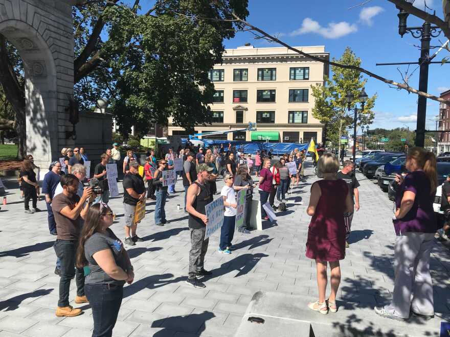 A photo of people standing in lines holding signs facing Main Street at the State House in Concord. 