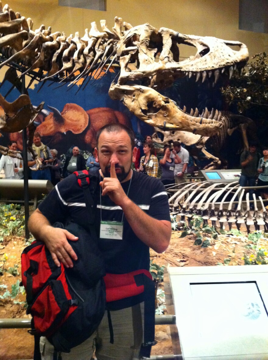 Carl Mehling, curator at the American Museum of Natural History in New York, just before exchanging the forgotten rib bone from the first <em>T. rex</em>. He's standing in front of the dinosaur's skeleton, which is now on display at the Carnegie Museum of Natural History in Pittsburgh.