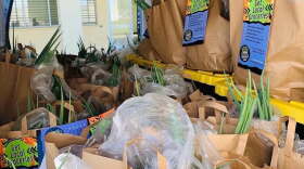 Bags used in weekly food distributions by Mālama Kauaʻi.