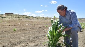 Hopi farmer and University of Arizona faculty Michael Kotutwa Johnson has a farm about 90 minutes north of Flagstaff, Arizona.