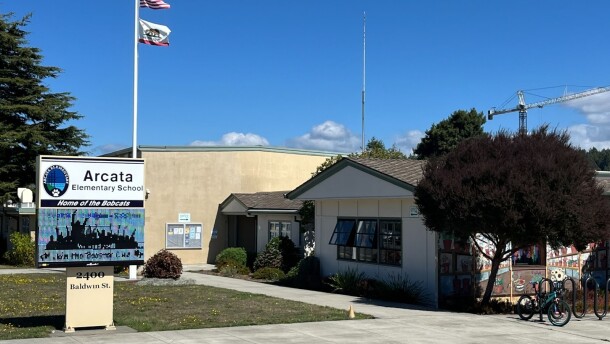 A low, tan and white building is surrounded by trees and grass. There's a concrete sidewalk, blue sky, and a flag pole. 