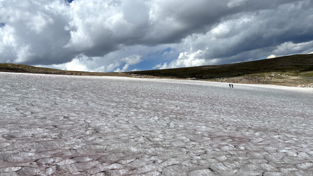 Two researchers stand on a vast ice patch in Wyoming’s Beartooth Mountains beneath large, dark clouds.