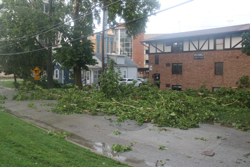 The road in front of an apartment building is speckled with green boughs fallen from trees during a recent storm.