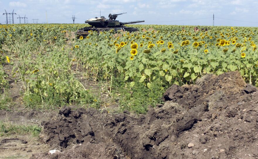 A Ukrainian army tank sits in position in a sunflower field Aug. 5 near the village of Maryinka, a suburb of Donetsk in eastern Ukraine.