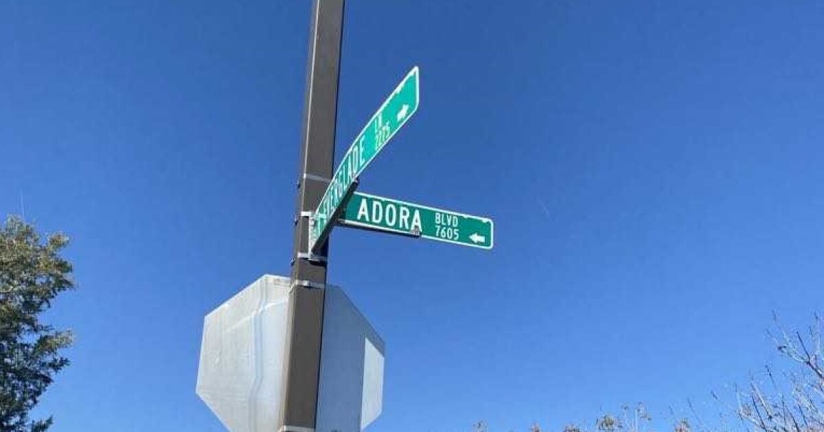 Gilbert Residents Concerned Over Free-Roaming Cattle in Neighborhood Gilbert Residents Concerned Over Free-Roaming Cattle in Neighborhood