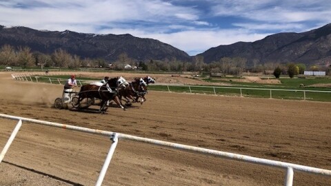 Chariot racing on a track in Utah