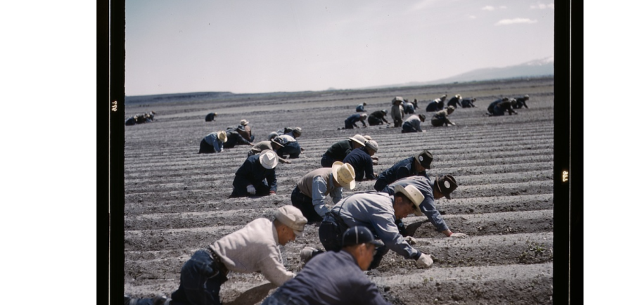 The Tule Lake Segregation Center in California was one of 10 concentration camps where the American government sent more than 120,000 Japanese-Americans during World War II.