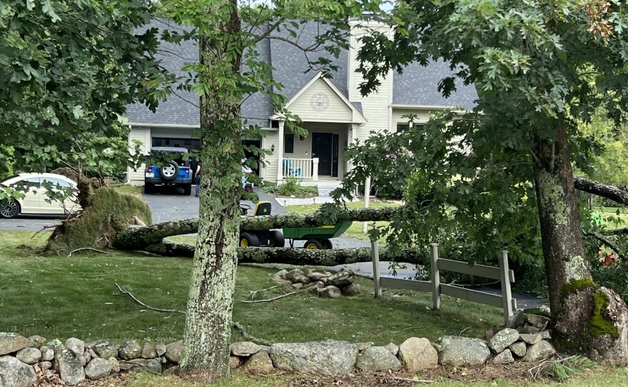 A tree downed by Tuesday's tornado blocked the driveway at a home on North Street in Mattapoisett.