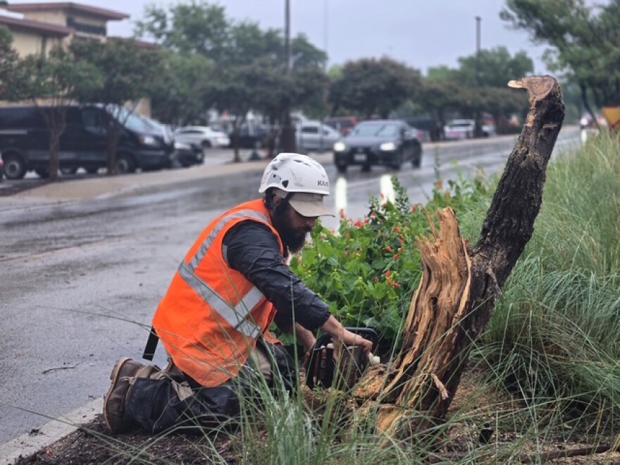 Lorenzo Sablan of Clean Scapes uses a chainsaw to remove a twisted tree trunk from a felled tree near The Rim shopping center on July 15, 2026.