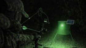 Visual example of night time hog hunting