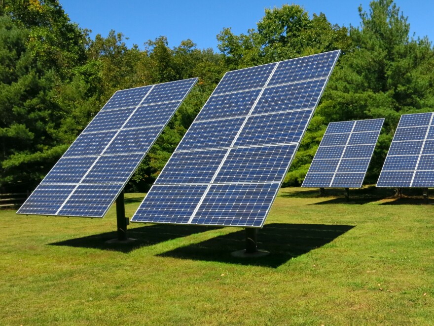 On Cole's property there are 40 solar panels that provide about half the electricity used for her home and electric car.