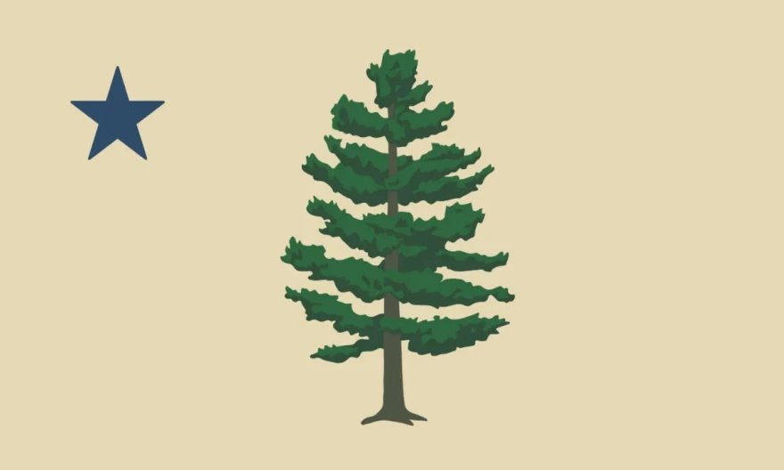 A beige flag with a green tree in the middle and a blue star in the upper left