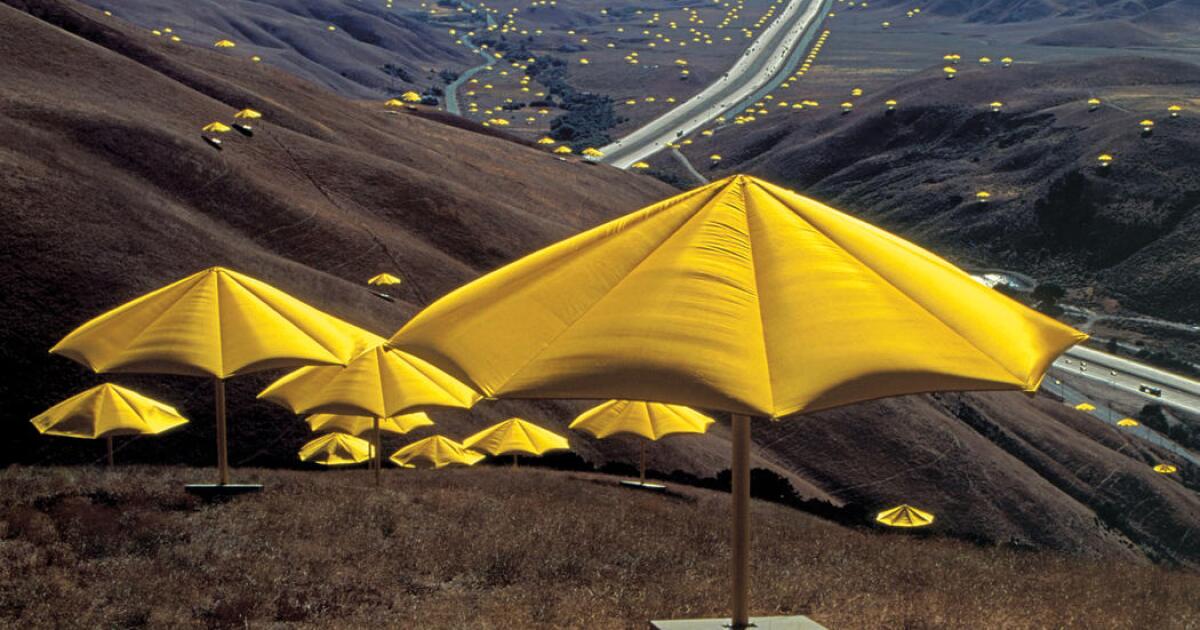 Yellow umbrellas Clearance