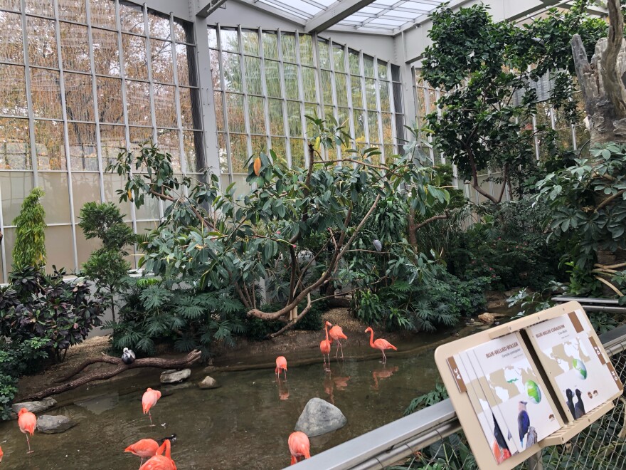 The renovated Wetlands habitat features bird-friendly glass panes on its exterior walls.