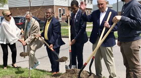 Sen. Chuck Schumer (D) joined Mayor Malik Evans (D) and others to plant a tulip tree on a street corner in Upper Falls, Rochester, in May of 2023. Schumer announced this week the city will be getting $3 million toward a plan to plant thousands of trees throughout Rochester.