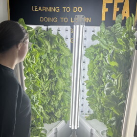 Dylan Miller and Lavender Johnson, high school students in Lima City School District, gaze at lettuce being grown on a hydroponic tower.