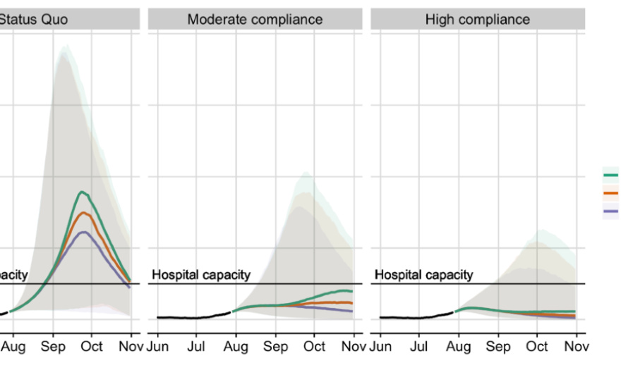 Graphs showing the effect of COVID mitigation measures on hospital capacity in the Austin area