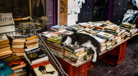 A cat rests on a pile of books. (Aris Messinis/AFP via Getty Images)
