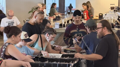 Attendees browse dozens of bins of records at the Gainesville Record Fair in Cypress & Grove Brewing Co. on Sunday.