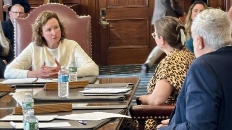 Diana Fenton speaks to the Executive Council in a hearing for her nomination to lead the Office of the Child Advocate. Fenton withdrew her nomination the following day.